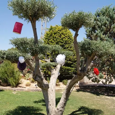 Jardines De Lola *