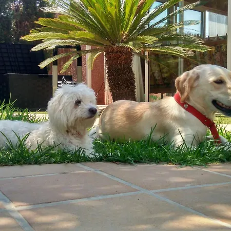 Casa Jardines De Lola *