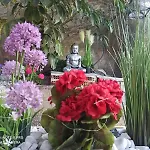 Jardines De Lola 乡村民宿 Daimés