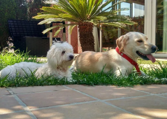 Jardines De Lola *